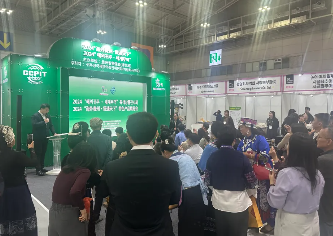 1729759677204044.png image.png